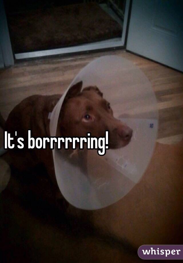 It's borrrrrring!