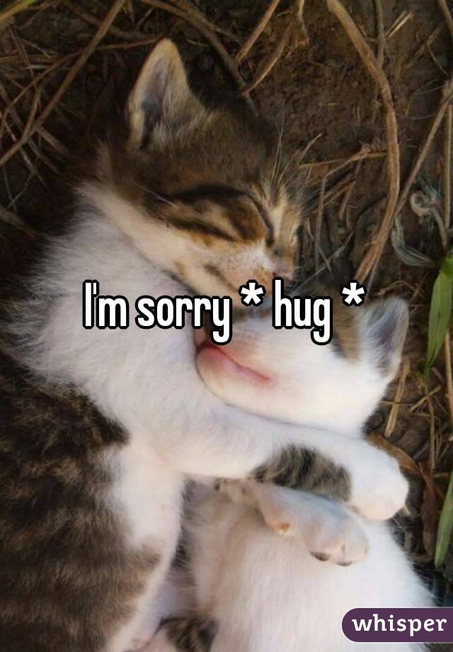 I'm sorry * hug *
