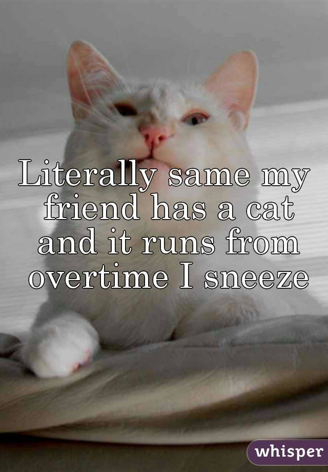 Literally same my friend has a cat and it runs from overtime I sneeze