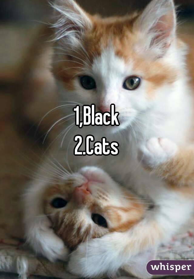 1,Black
2.Cats