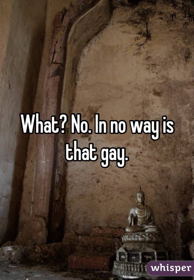 What? No. In no way is that gay. 