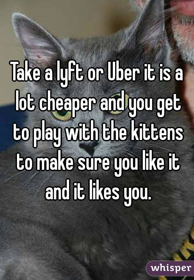 Take a lyft or Uber it is a lot cheaper and you get to play with the kittens to make sure you like it and it likes you.