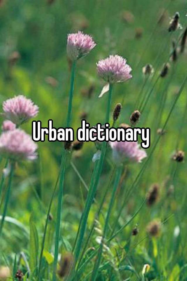 urban-dictionary