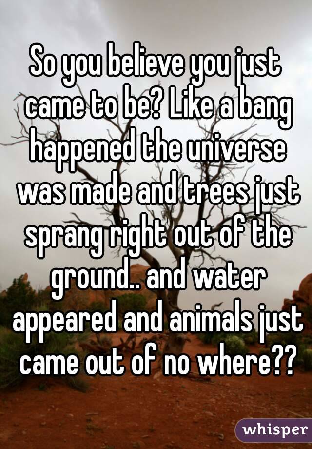 So you believe you just came to be? Like a bang happened the universe was made and trees just sprang right out of the ground.. and water appeared and animals just came out of no where??
