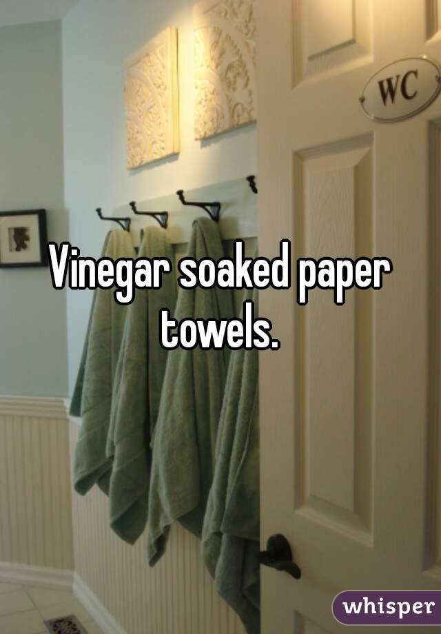 Vinegar soaked paper towels. 