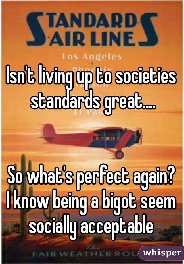Isn't living up to societies standards great....


So what's perfect again?
I know being a bigot seem socially acceptable 