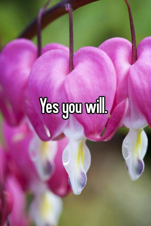 yes-you-will