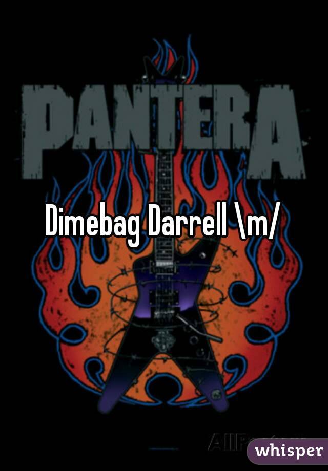 Dimebag Darrell \m/