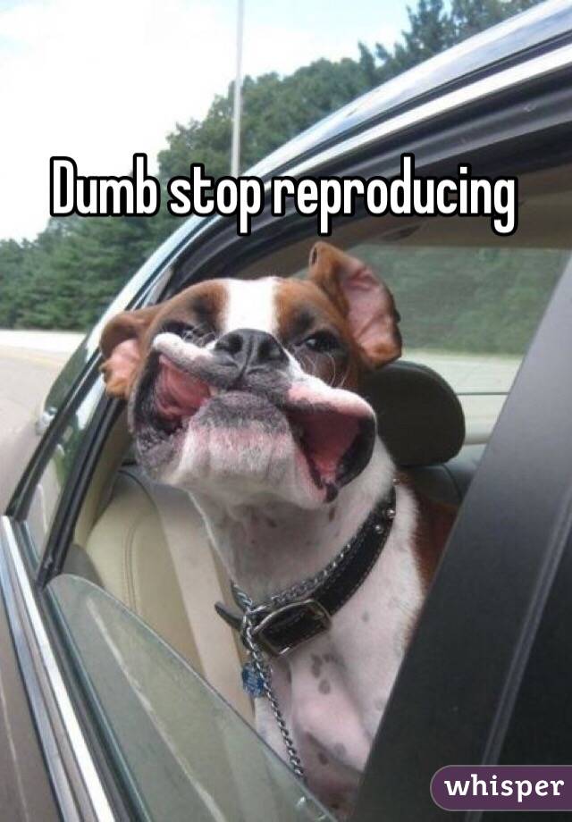 Dumb stop reproducing 
