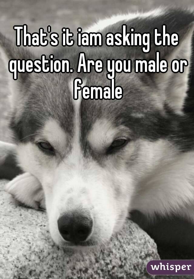 That's it iam asking the question. Are you male or female