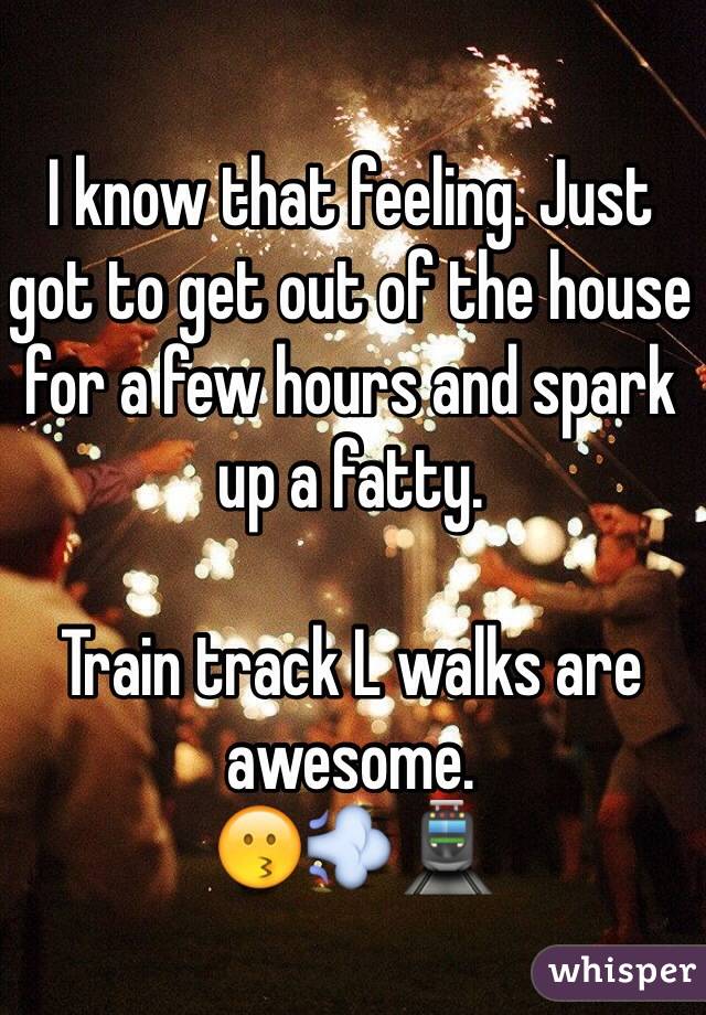 I know that feeling. Just got to get out of the house for a few hours and spark up a fatty.

Train track L walks are awesome.
😗💨🚊