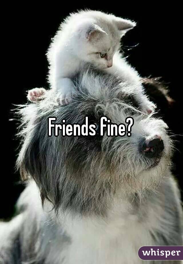 Friends fine?