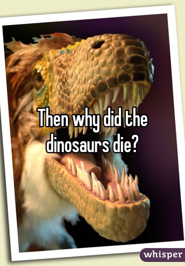 Then why did the dinosaurs die? 