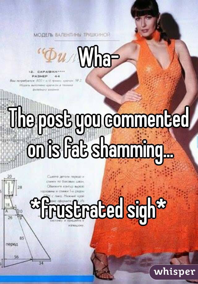 Wha-

The post you commented on is fat shamming...

*frustrated sigh*