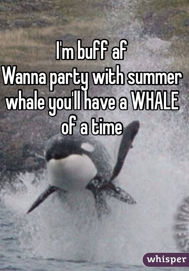 I'm buff af
Wanna party with summer whale you'll have a WHALE of a time 