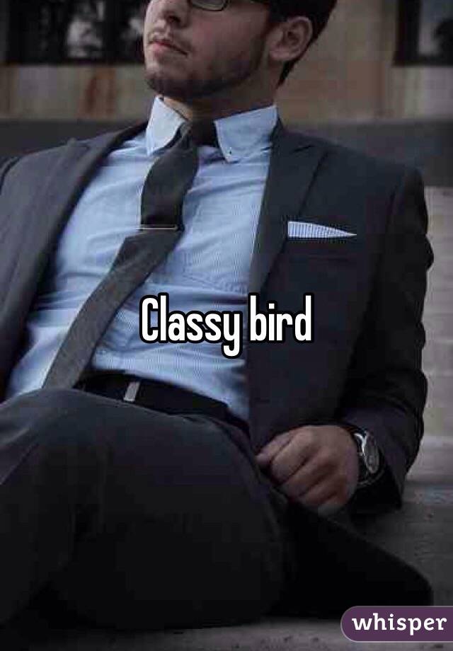 Classy bird 