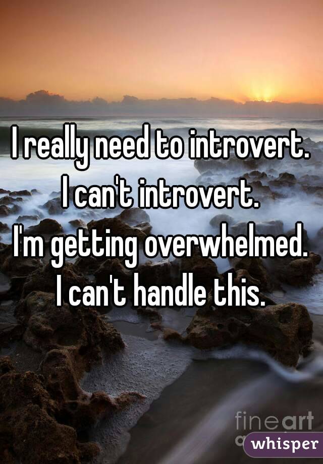 I really need to introvert.
I can't introvert.
I'm getting overwhelmed.
I can't handle this.