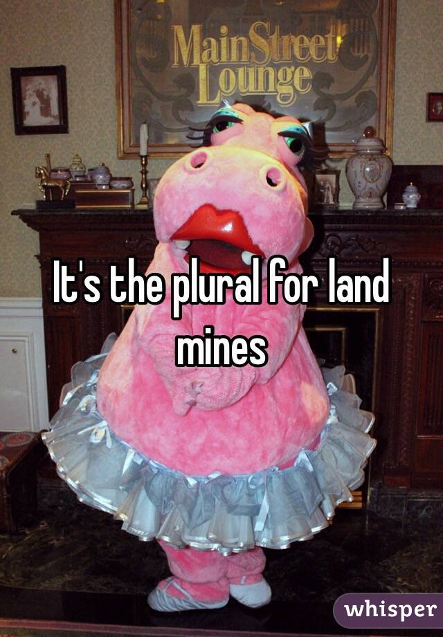 It's the plural for land mines 