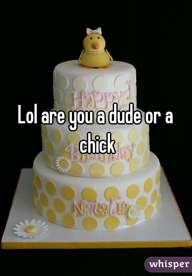 Lol are you a dude or a chick