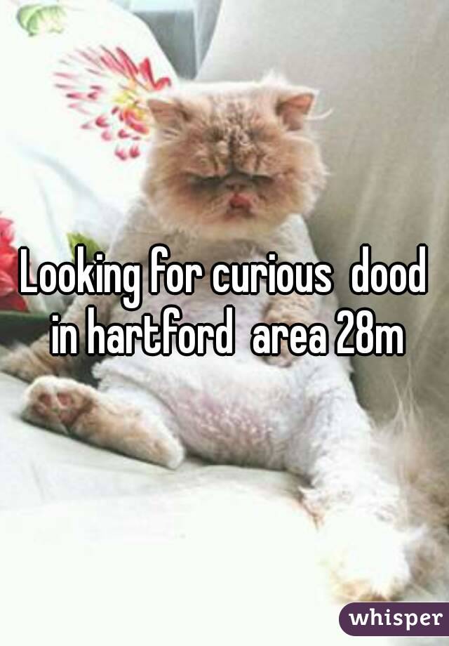 Looking for curious  dood in hartford  area 28m