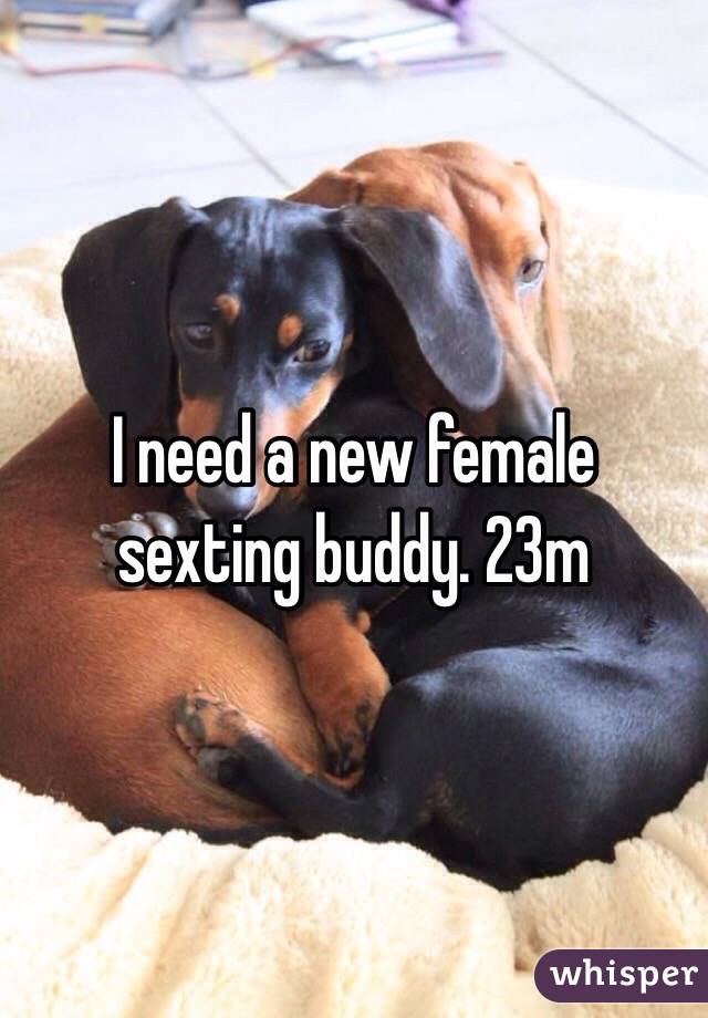 I need a new female sexting buddy. 23m