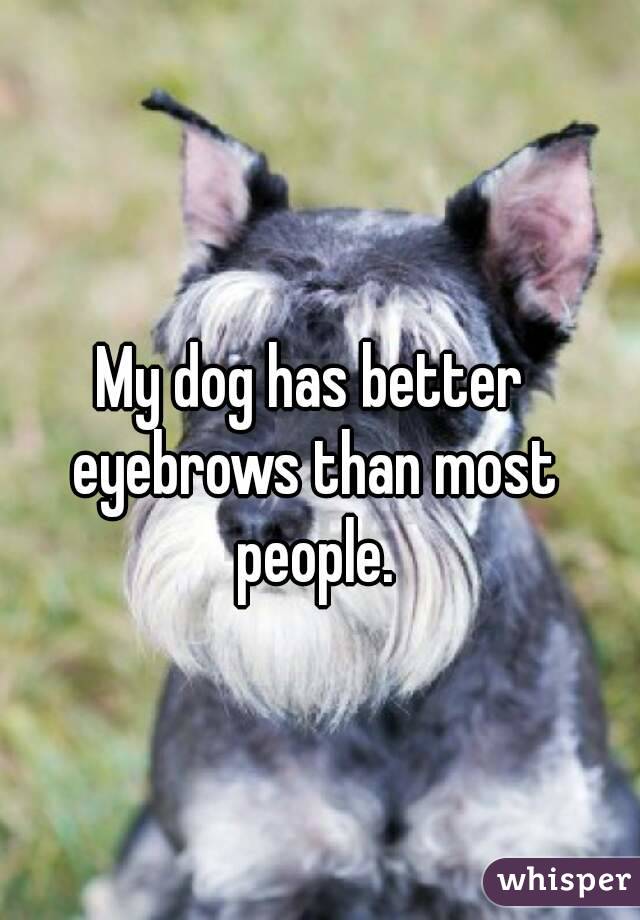 My dog has better eyebrows than most people.