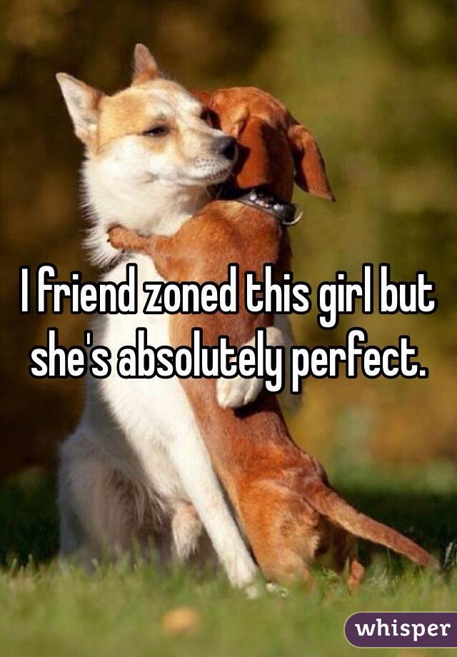 I friend zoned this girl but she's absolutely perfect. 