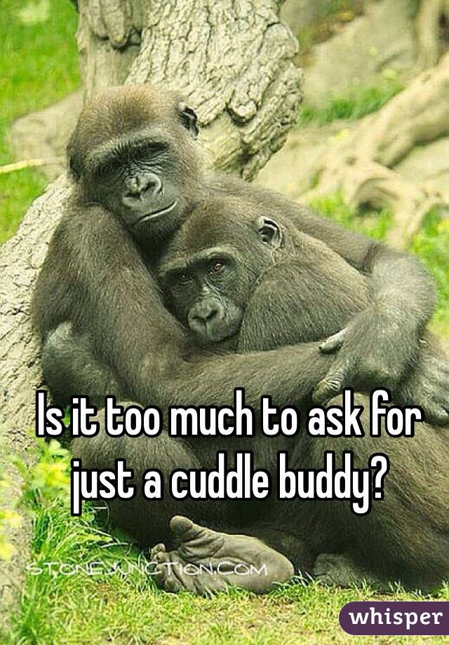 Is It Ok To Have A Cuddle Buddy