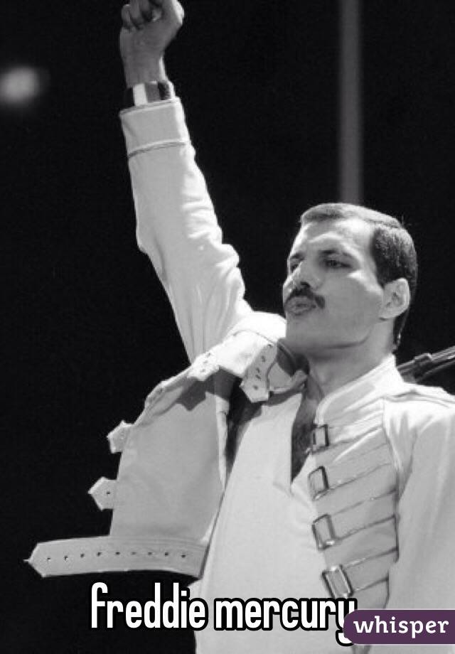 freddie mercury