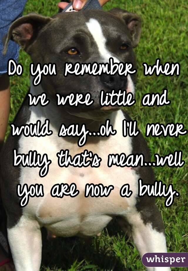 Do you remember when we were little and would say...oh I'll never bully that's mean...well you are now a bully.