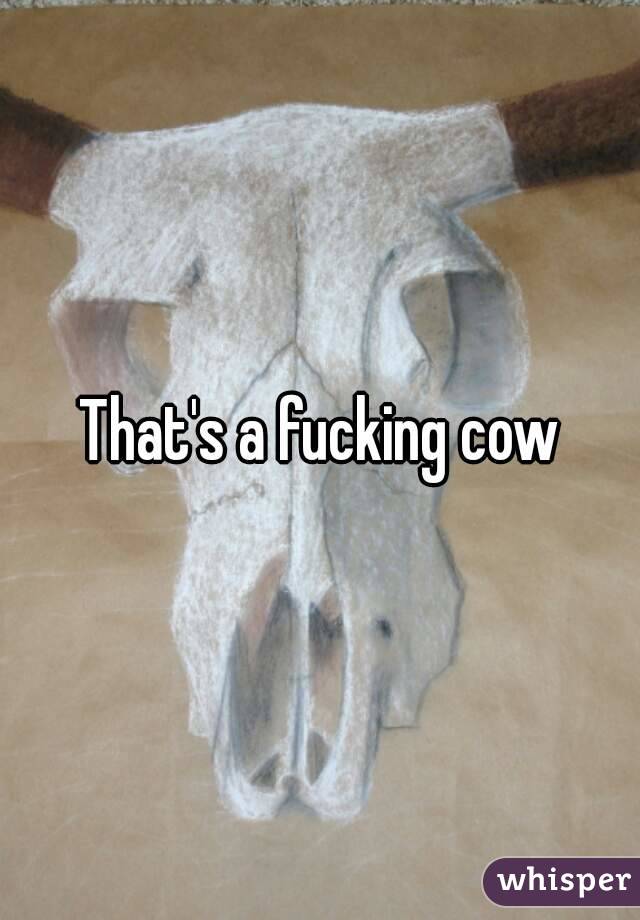 That's a fucking cow