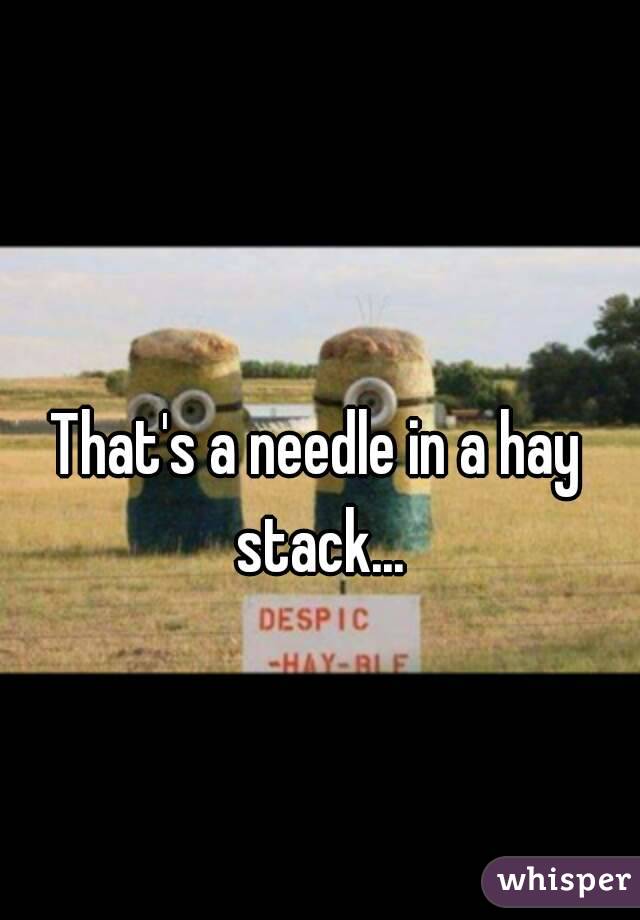 That's a needle in a hay stack...