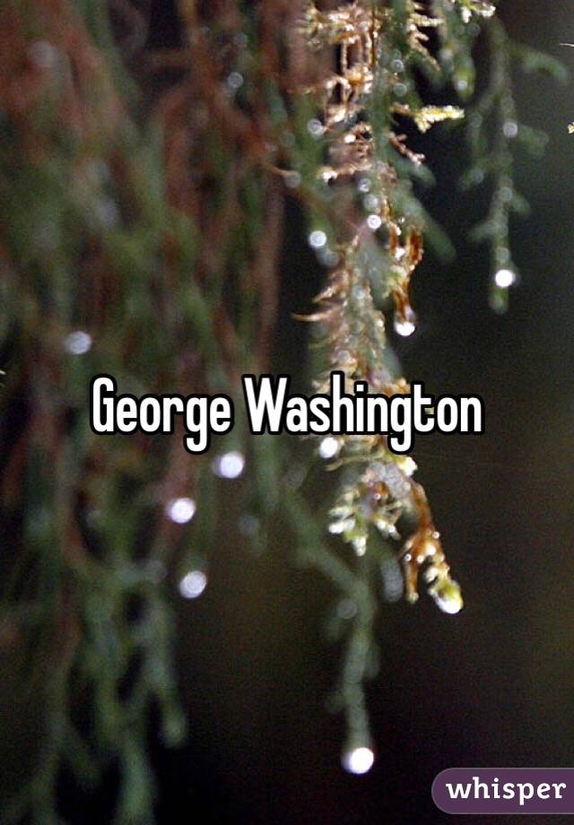 George Washington 