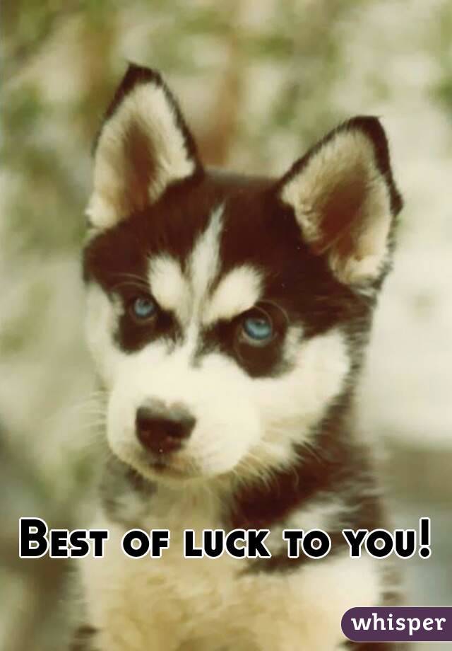 Best of luck to you! 