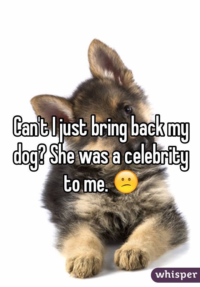 Can't I just bring back my dog? She was a celebrity to me. 😕