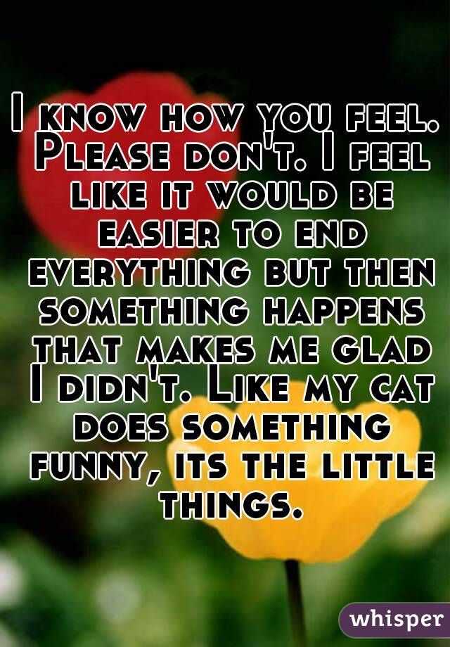 I know how you feel. Please don't. I feel like it would be easier to end everything but then something happens that makes me glad I didn't. Like my cat does something funny, its the little things.