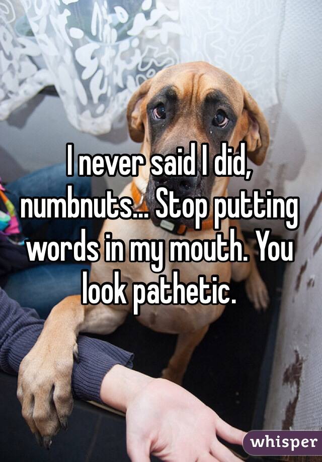 I never said I did, numbnuts... Stop putting words in my mouth. You look pathetic.