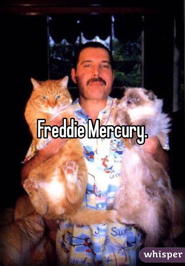 Freddie Mercury. 