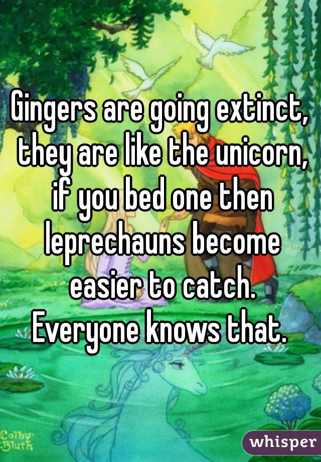 Gingers are going extinct, they are like the unicorn, if you bed one then leprechauns become easier to catch.
Everyone knows that.