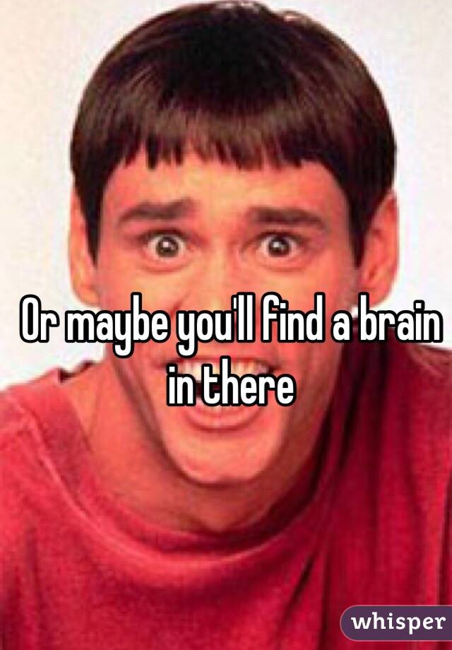 Or maybe you'll find a brain in there