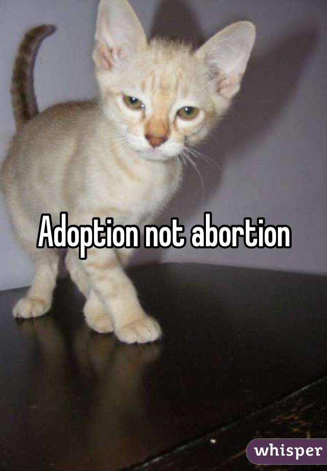 Adoption not abortion