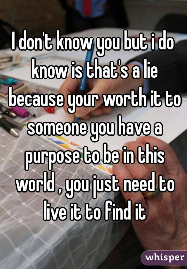 I don't know you but i do know is that's a lie because your worth it to someone you have a purpose to be in this world , you just need to live it to find it