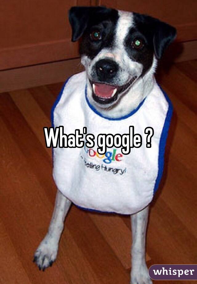 What's google ? 