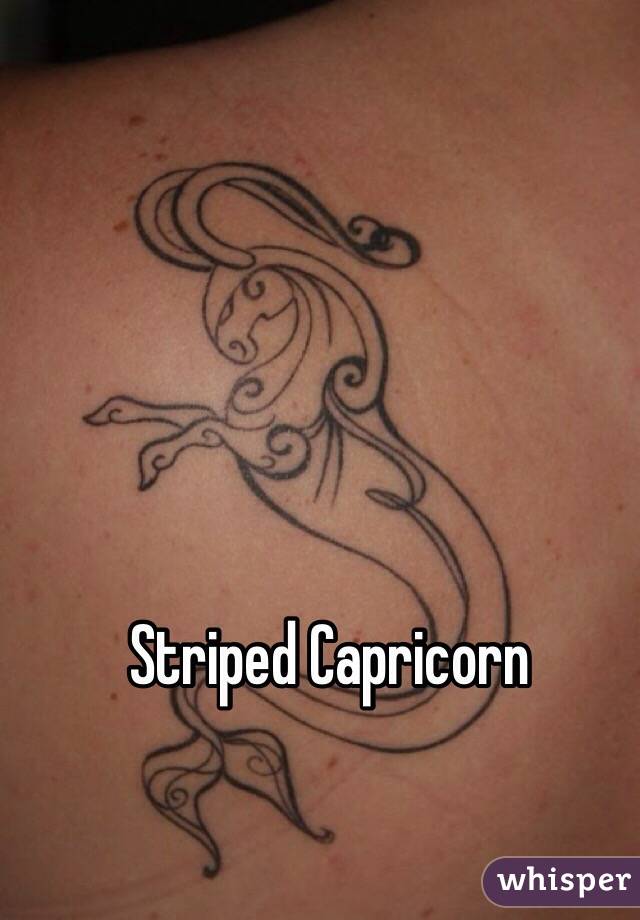 Striped Capricorn