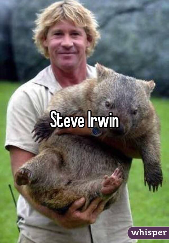 Steve Irwin 