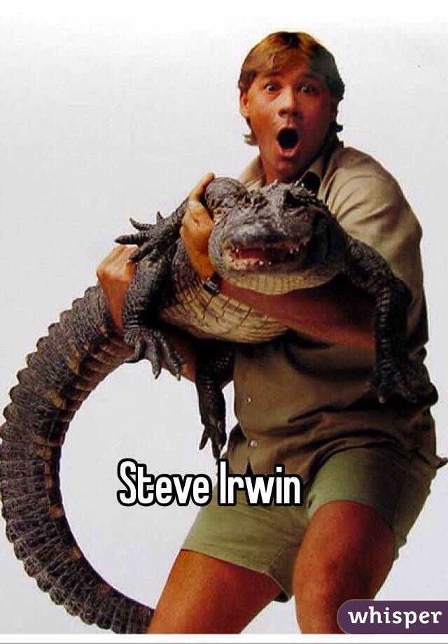 Steve Irwin