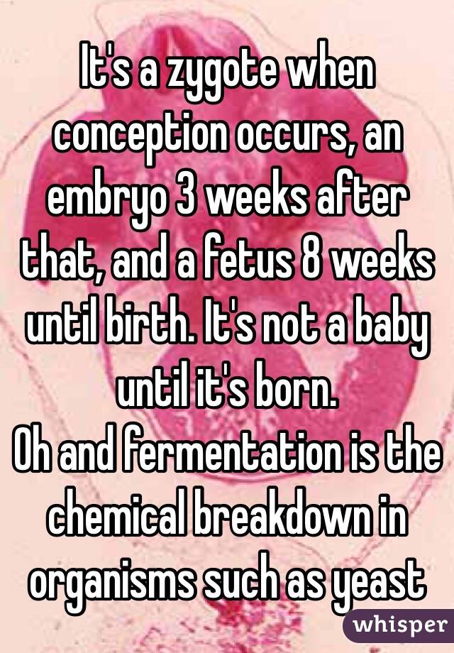 It's a zygote when conception occurs, an embryo 3 weeks after that, and a fetus 8 weeks until birth. It's not a baby until it's born.
Oh and fermentation is the chemical breakdown in organisms such as yeast 