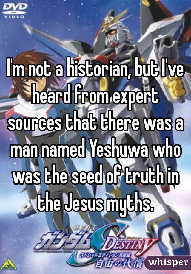 I'm not a historian, but I've heard from expert sources that there was a man named Yeshuwa who was the seed of truth in the Jesus myths.