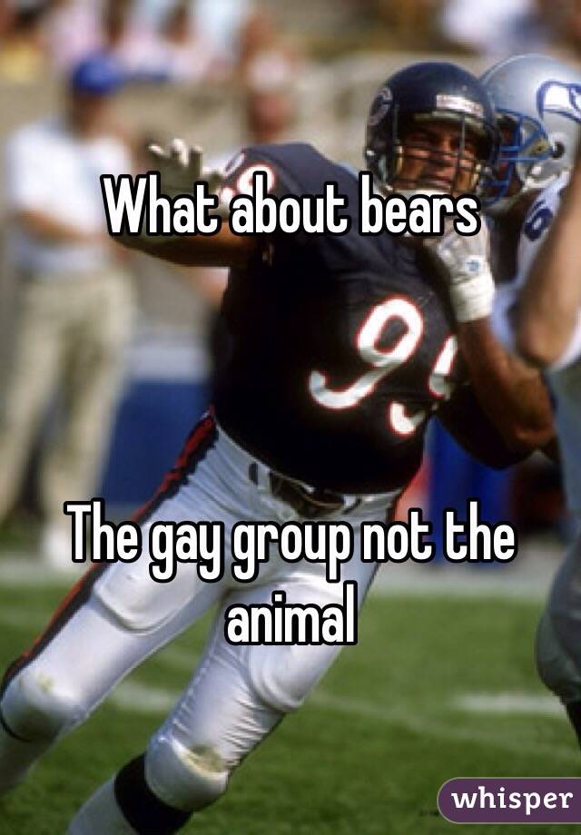 What about bears 



The gay group not the animal 