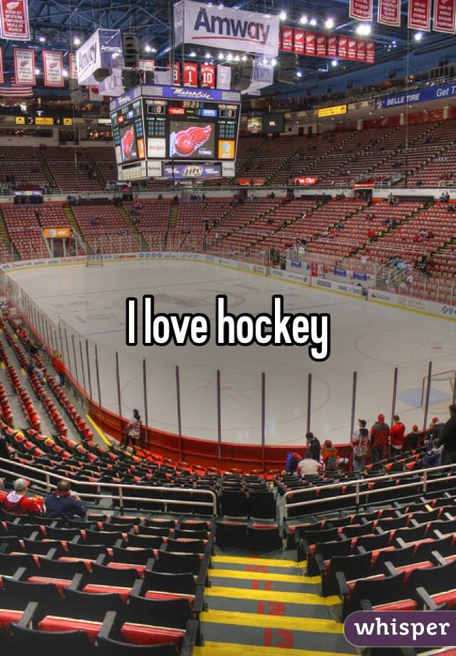 I love hockey